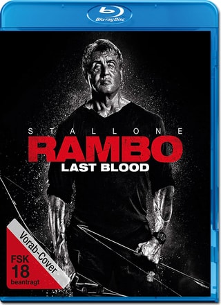 Rambo Last Blood (2019) Hindi ORG 720p HEVC WEB-HDRip 500MB