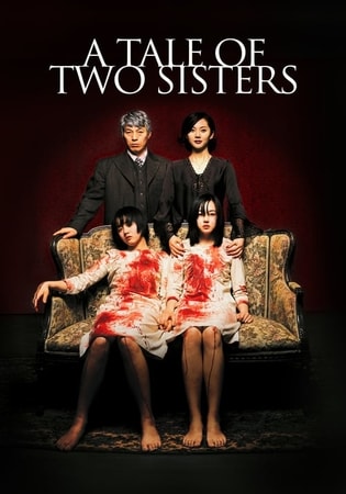 A Tale of Two Sisters (2003) 720p | 480p BluRay Dual Audio [Hindi – Korean]