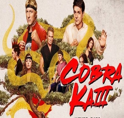 Cobra Kai (2021) Season 3 720p HEVC HDRip Dual Audio [Hindi – English] [EP 1 to 10]