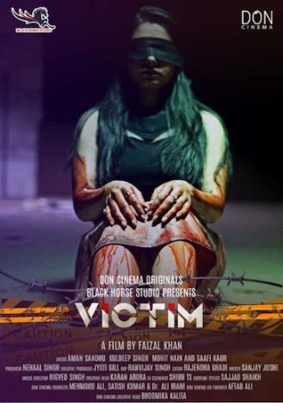 Victim (2021) Hindi Full Movie 720p | 480p WEB-HDRip 800MB – 300MB