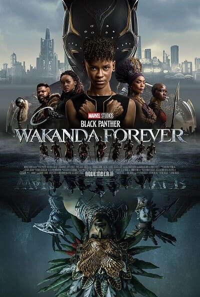 Black Panther: Wakanda Forever (2022) 720p HEVC BluRay Hindi ORG Dual Audio 800MB Download